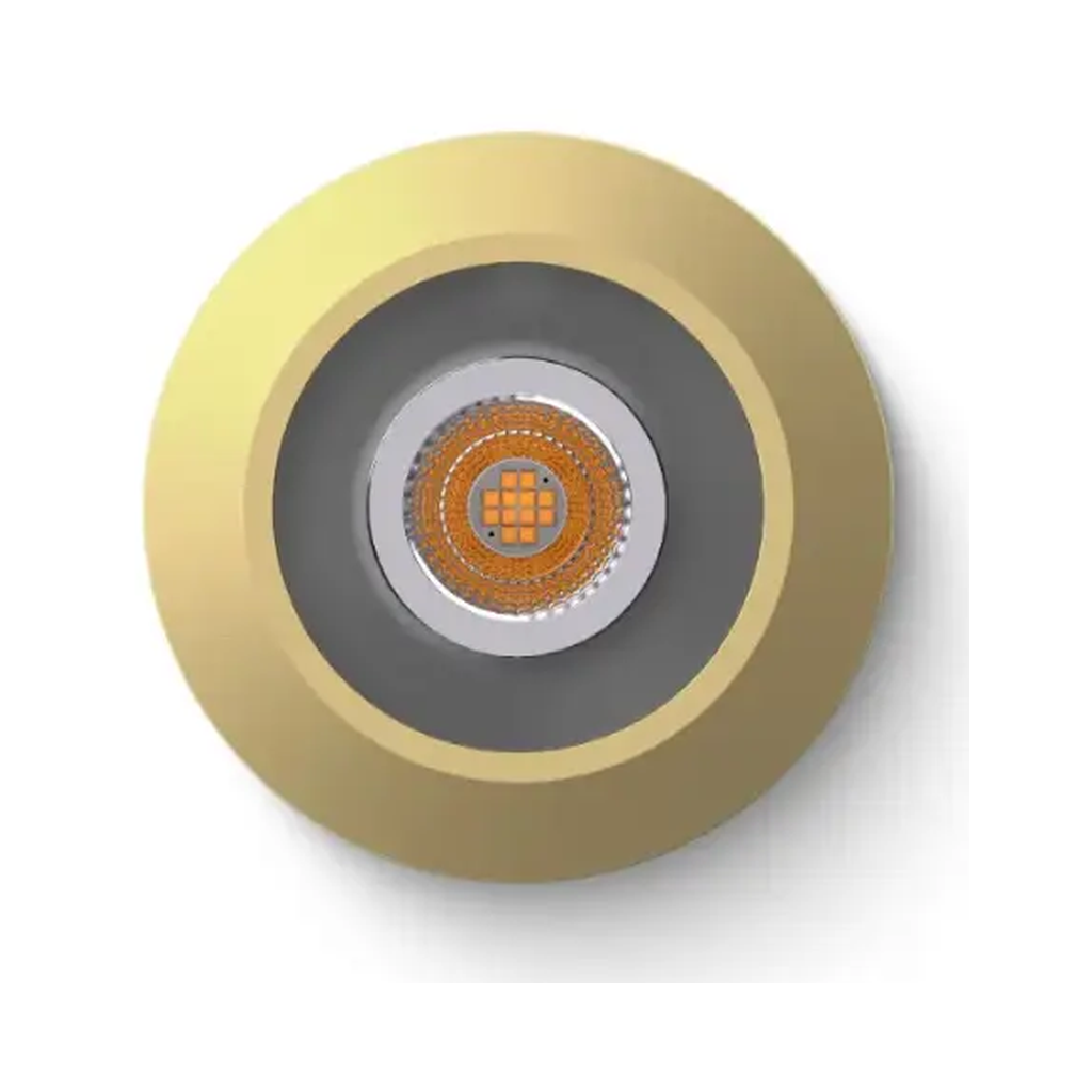 [100491] Spot LED Loxone RGBW Tree gold
